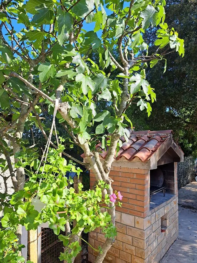 Apartman Melita Galižana 0*,